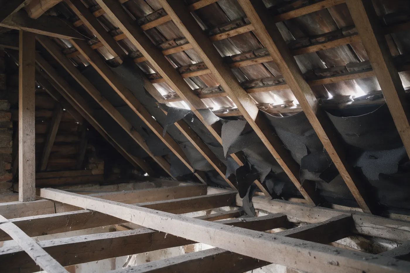 Old bitumen roof felt torn and sagging between the rafters in a loft